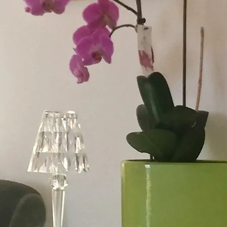 Appartamento Rooftop Flat In 